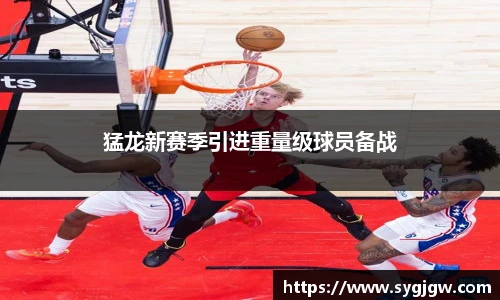 猛龙新赛季引进重量级球员备战